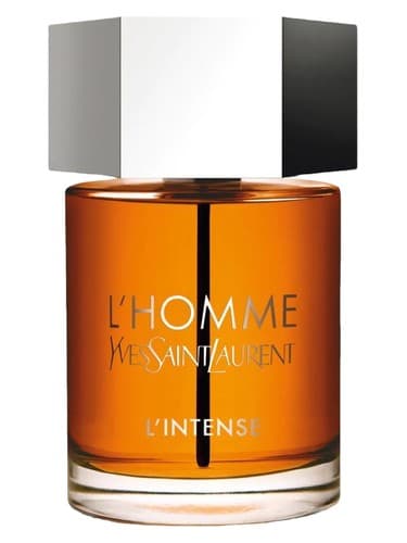 Yves Saint Laurent L'Homme Parfum Intense perfume bottle