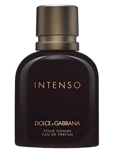 Dolce&Gabbana Dolce&Gabbana Pour Homme Intenso perfume bottle
