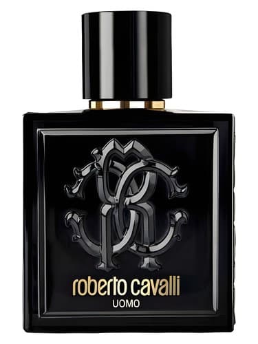 Roberto Cavalli Roberto Cavalli Uomo perfume bottle