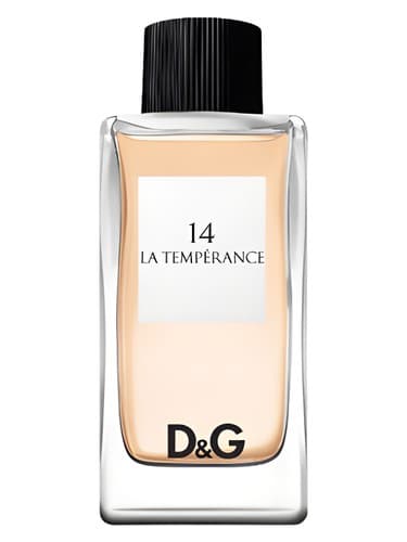 Dolce&Gabbana D&G Anthology La Temperance 14 perfume bottle