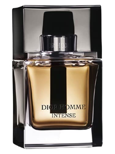 Dior Dior Homme Intense 2007 perfume bottle