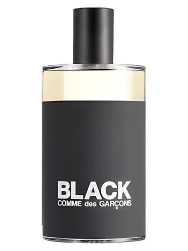 Comme des Garcons Black Eau de Toilette perfume bottle
