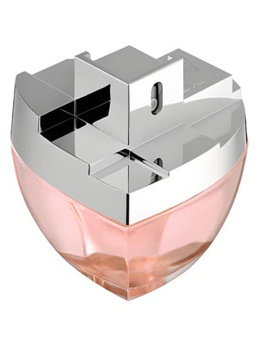 Donna Karan DKNY My NY perfume bottle