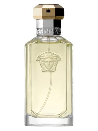 Versace The Dreamer perfume bottle
