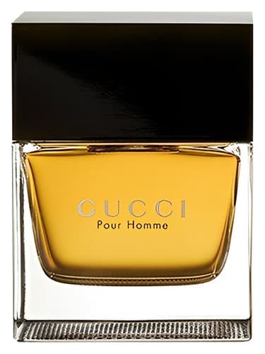 Gucci Gucci pour Homme (2003) perfume bottle